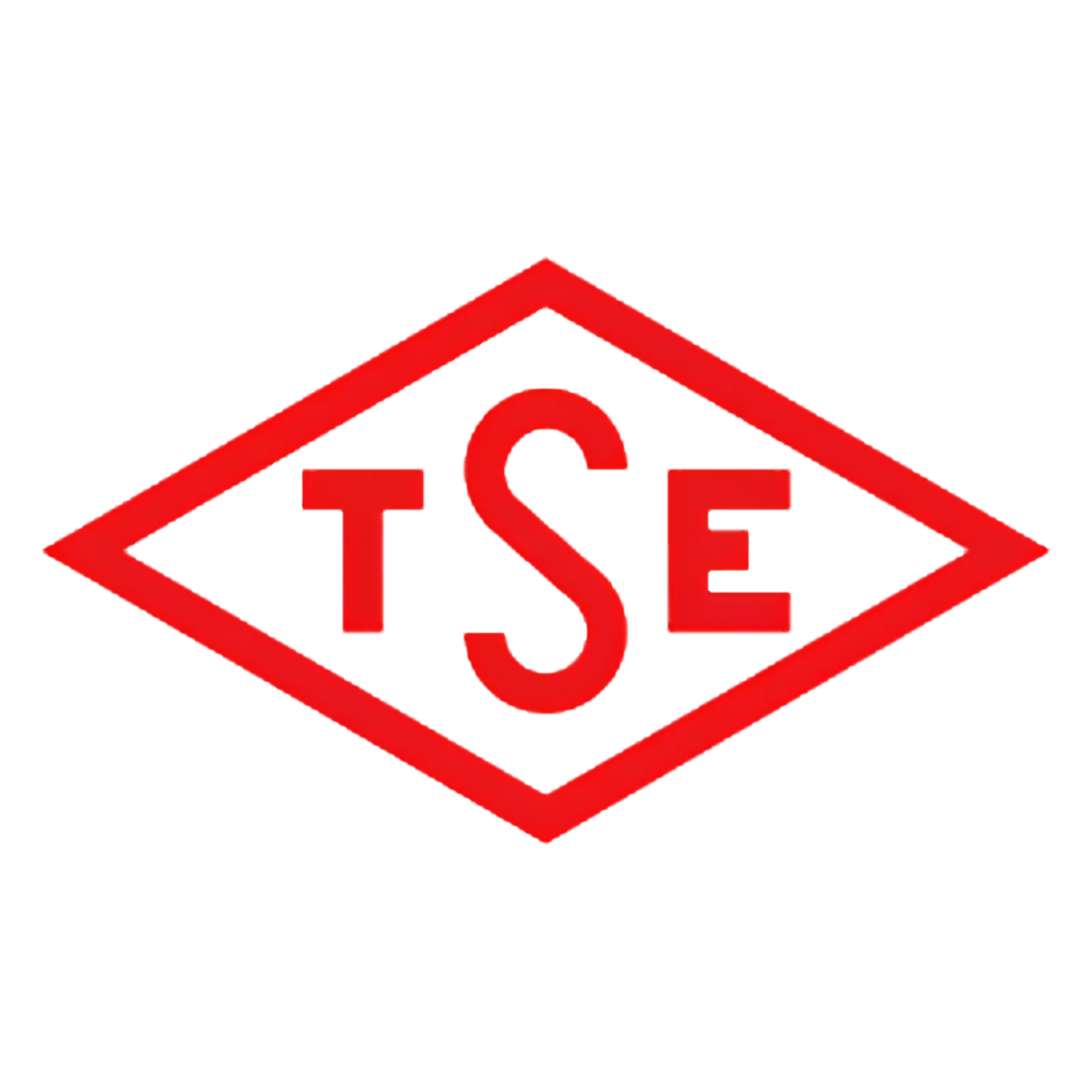 TSE Logo